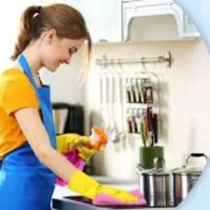 Kitchen Cleaning Solutions