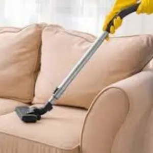 Professional Upholstery Cleaning Service