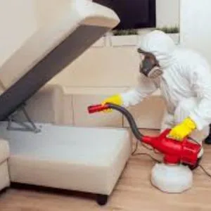 Bed Bugs Pest Control Solution