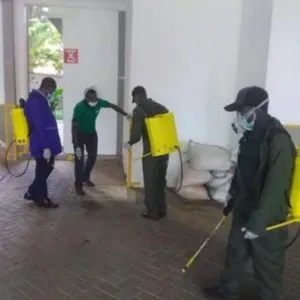 Fumigation Pest Control