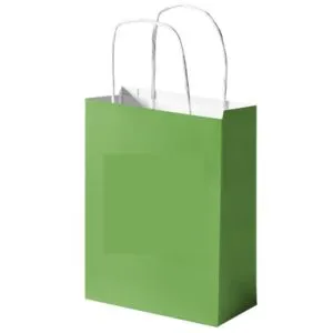 Paper Shopping Bags