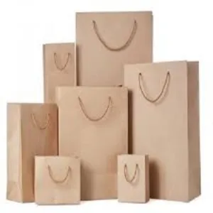 Customized Paper Bag