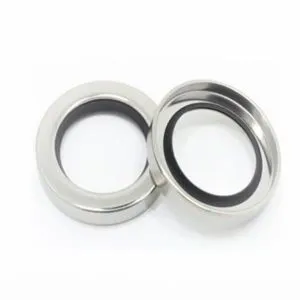 PTFE Oil Seals