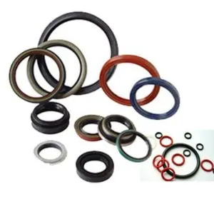 Viton Oil Seal