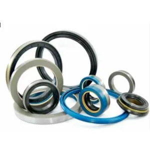 Viton Oil Seal