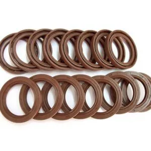 FKM Oil Seals