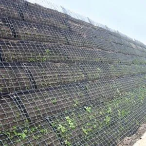 Geogrids