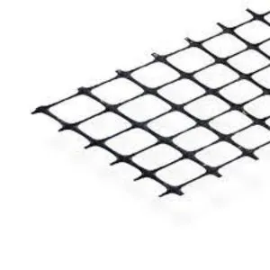 Geogrid