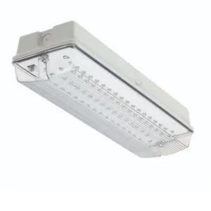 LED Emergency Light