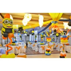 Birthday Party Organizers