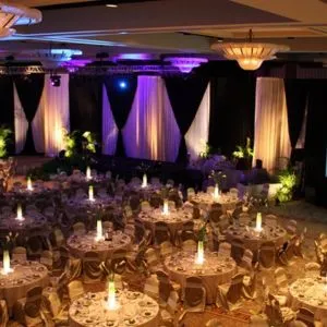 Professional Event Planners