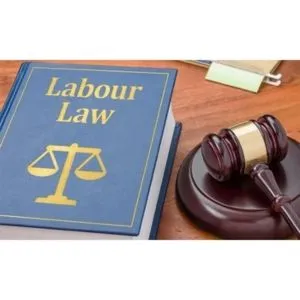 Labour Law Consultant