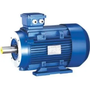 3 Phase Electric Motors