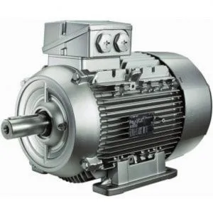 Industrial Electric Motor