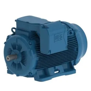 Weg Electric Motors