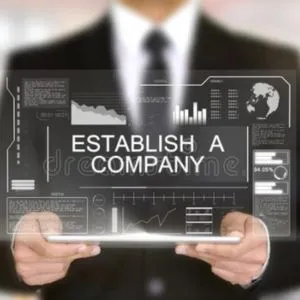 Company Establishment Services