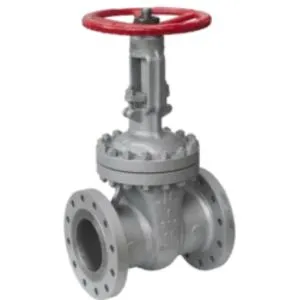 Flexible Wedge Gate Valve