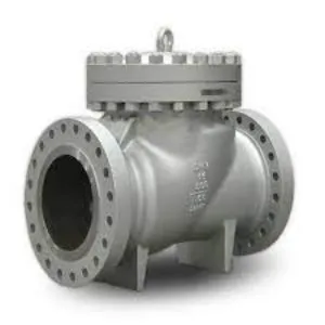 Automatic Check Valves