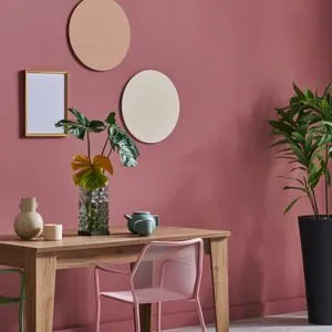 Interior Wall Paint