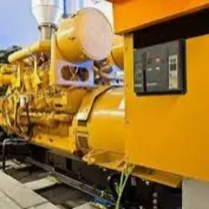 Generator Rotor Repairing Services