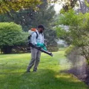 Mosquito Control Services