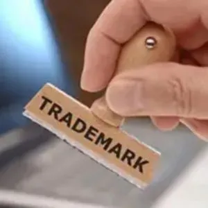 Intellectual Trademark Registration