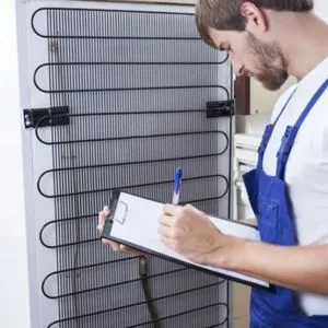 Professional Fridge Repair Services