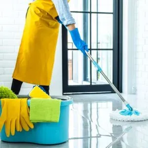 Professional Cleaning Services