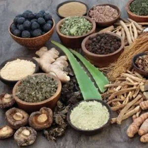 Scientific Ayurvedic Medicine