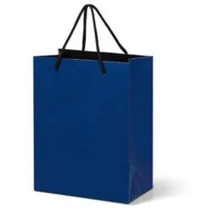 Corporate Gift Bag