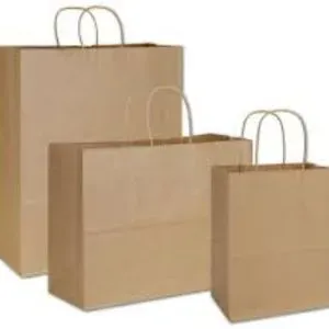 Paper Bags