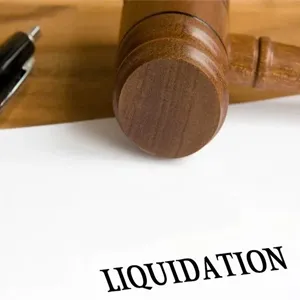 Voluntary Liquidation Services