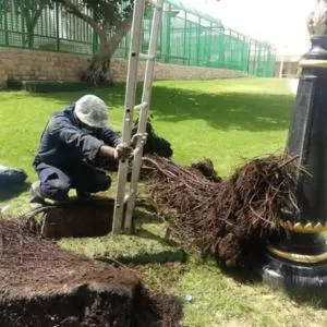 Drainage Tank Cleaning Service