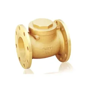 Brass Check Valve Flanged