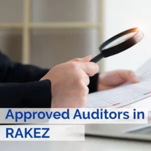 RAKEZ Auditing Services