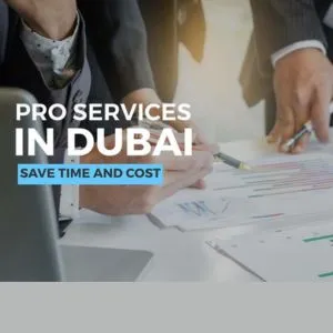 Pro Services