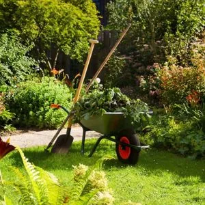 Removal And Disposal Of Garden Waste