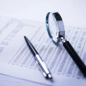 Financial Statement Audit Service