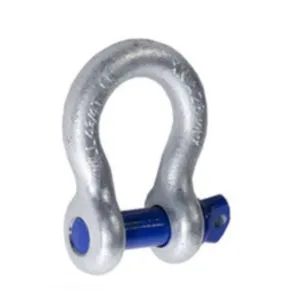 12t Screw Pin Bow Shackle