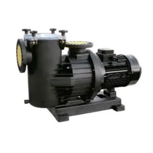 Self Priming Pump