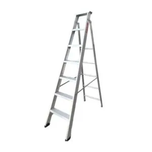 Dual Purpose Ladder